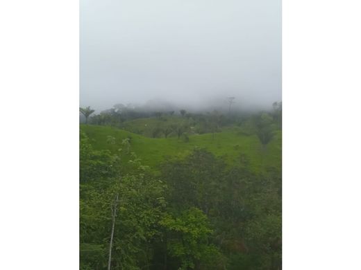 村舍/农舍  Chepo, Distrito de Chepo