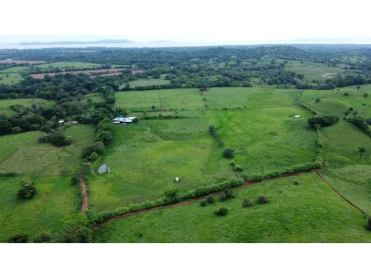 Veraguas, Distrito de Santa Féのカントリー風またはファームハウス