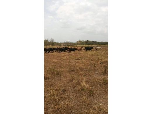 Farmhouse in Pacora, Distrito de Panamá