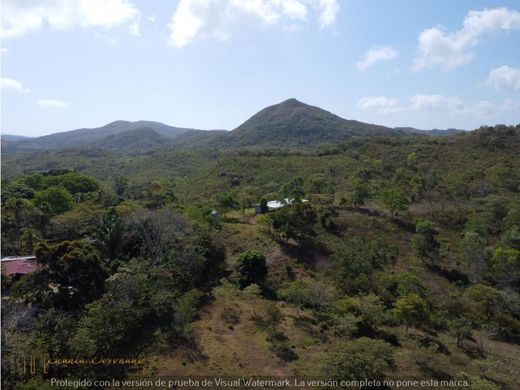 Terrain à Pajonal, Distrito Penonomé