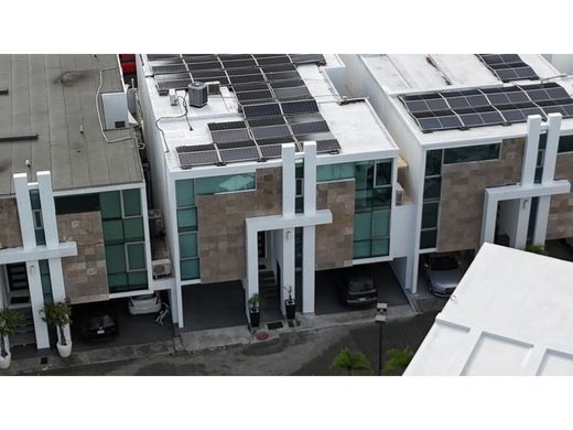 ‏בתי יוקרה ב  San Francisco, Distrito de San Francisco