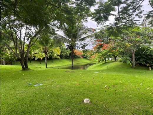 토지 / 파나마 시, Distrito de Panamá