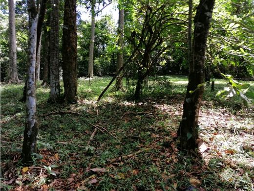 Boerderij in Bocas del Toro, Distrito de Bocas del Toro