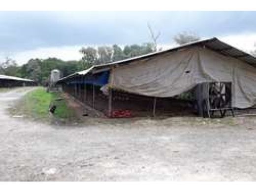 Terreno - Colón, Distrito de Colón
