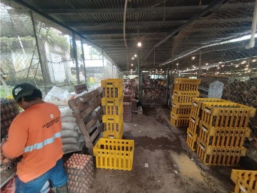 Capira, Distrito de Capiraの土地