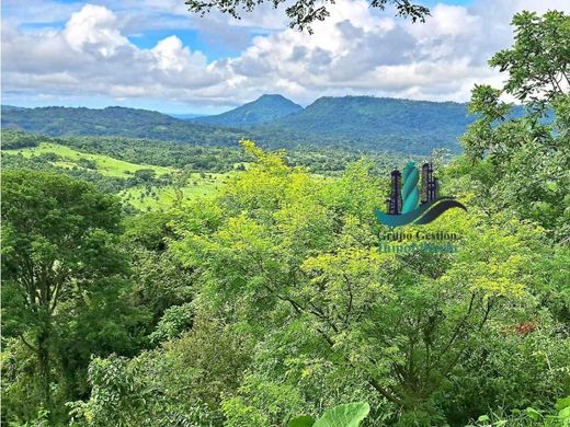 Gualaca, Distrito de Gualacaのカントリー風またはファームハウス