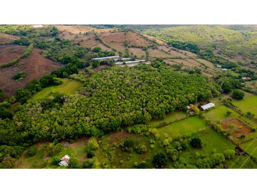 Boerderij in Chame, Distrito de Chame