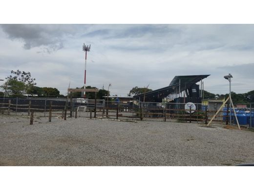 Αγροτεμάχιο σε David, Distrito de David