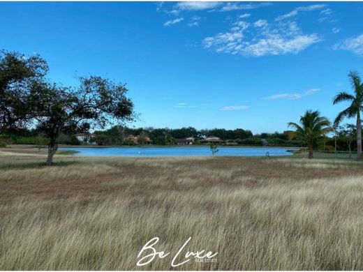 Land in Farallón, Distrito de La Pintada