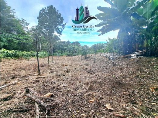 Ρουστίκ ή αγροικία σε Boquete, Distrito de Boquete