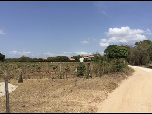 Αγροτεμάχιο σε Río Hato, Distrito de Antón