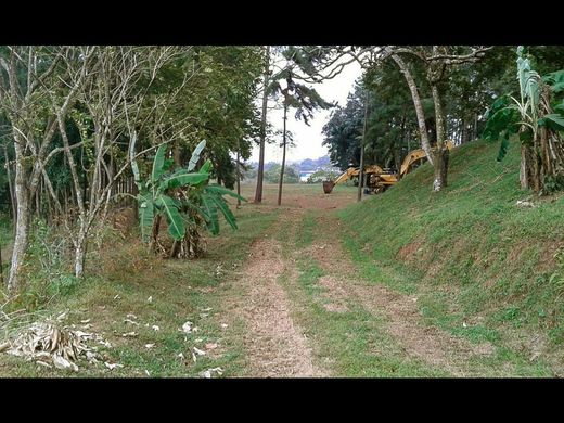 Terreno - Panamá, Distrito de Panamá