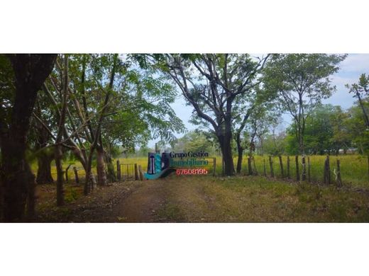 Quinta rústica - David, Distrito de David