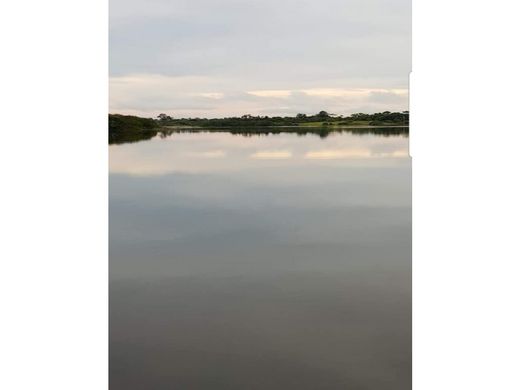 Boerderij in La Chorrera, Distrito de La Chorrera