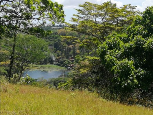 ‏קרקע ב  Cerro Azul, Distrito de Panamá