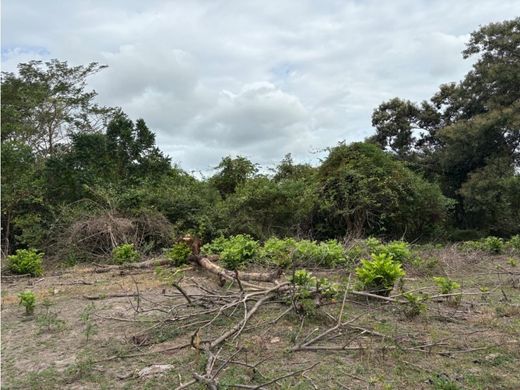 Gutshaus oder Landhaus in San Carlos, Distrito de San Carlos