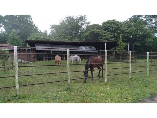 Rustik ya da çiftlik Pacora, Distrito de Panamá