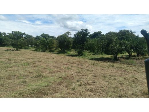 Terreno a Chame, Distrito de Chame