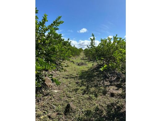 Farmhouse in Penonomé, Distrito Penonomé