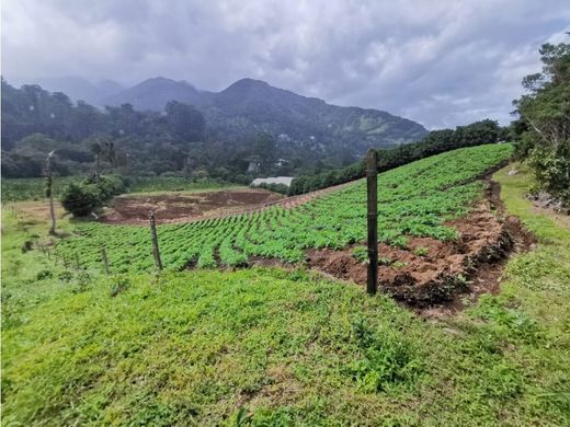 Boquete, Distrito de Boqueteのカントリー風またはファームハウス