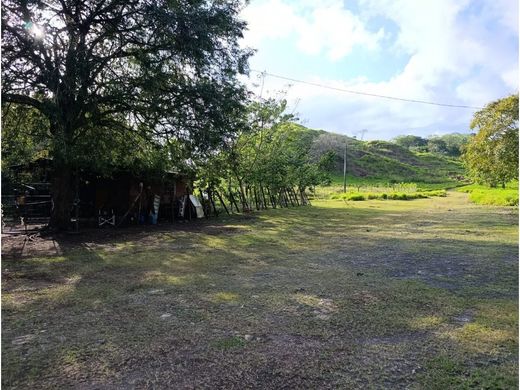 Farmhouse in La Chorrera, Distrito de La Chorrera