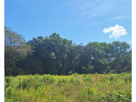 Land in David, Distrito de David