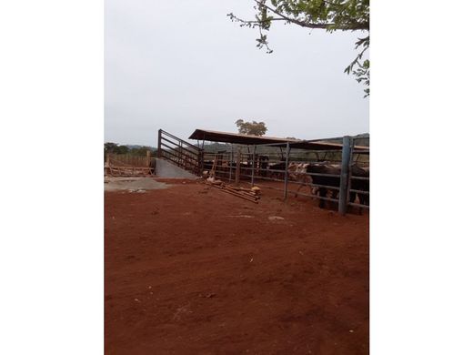 Terreno en Santa Fé, Distrito de Chepigana