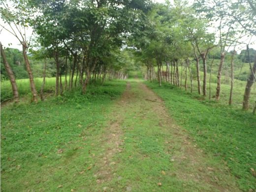 Grond in Veraguas, Distrito de Santa Fé