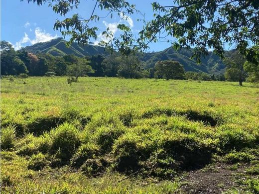 Volcán, Distrito de Bugabaのカントリー風またはファームハウス