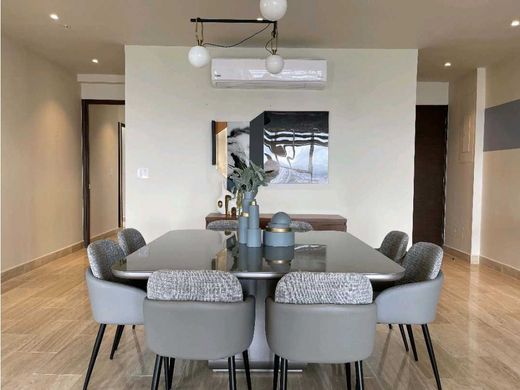 Daire Panama Pacifico, Provincia de Panamá