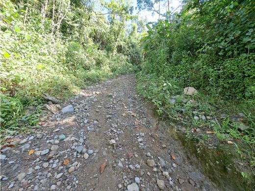 Quinta rústica - Bugaba, Distrito de Bugaba