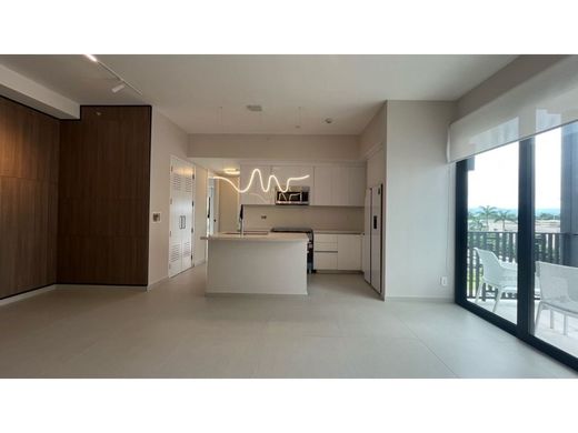 ‏דירה ב  פנמה סיטי, Distrito de Panamá