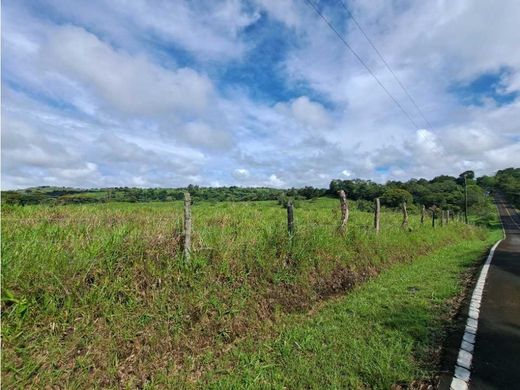 Boquerón, Provincia de Colónのカントリー風またはファームハウス