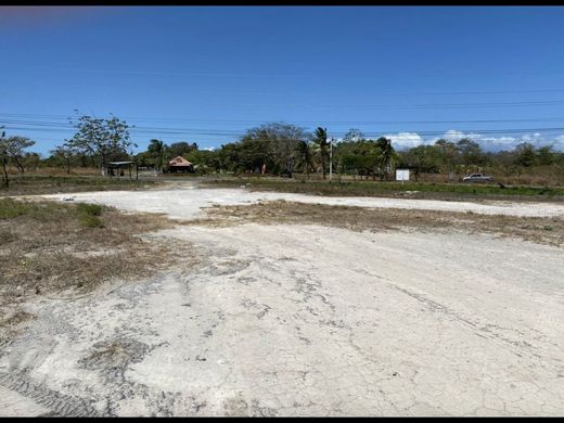 San Carlos, Distrito de San Carlosの土地