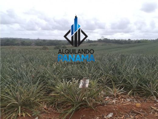 Ρουστίκ ή αγροικία σε La Chorrera, Distrito de La Chorrera