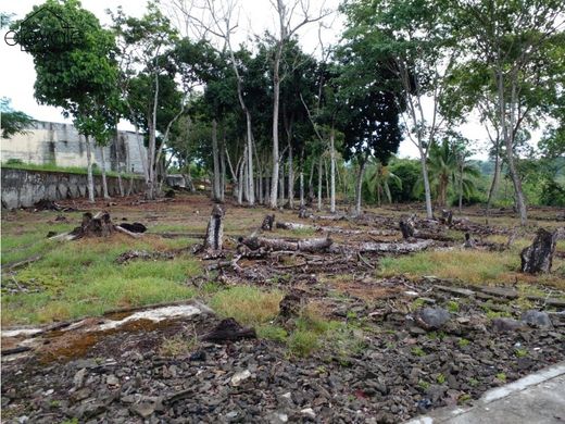 Arsa Paso Canoas, Distrito de Barú