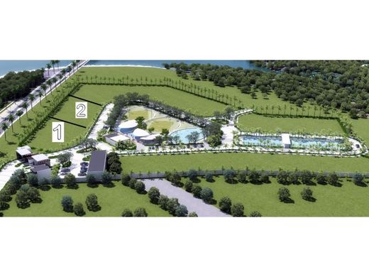 토지 / 파나마 시, Distrito de Panamá