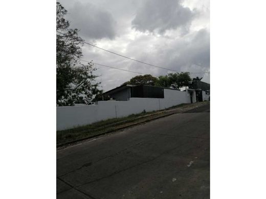 토지 / Parque Lefevre, Distrito de Panamá