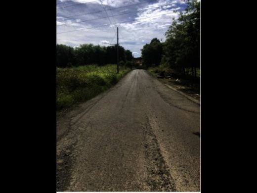 Ferme à La Chorrera, Distrito de La Chorrera