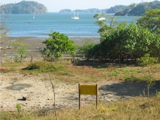 Land in Horconcitos, Distrito de San Lorenzo