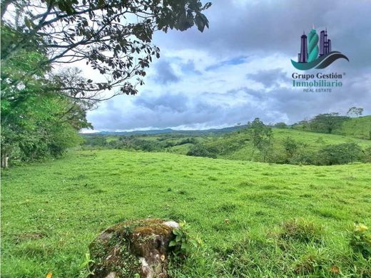 Quinta rústica - Volcán, Distrito de Bugaba