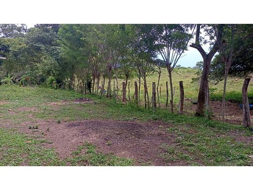 Terreno en Parita, Distrito de Parita