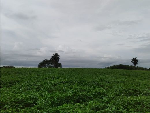 Terreno a Pedasí, Distrito de Pedasí