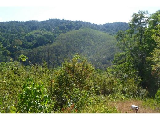 ‏קרקע ב  Bella Vista, Distrito de Donoso