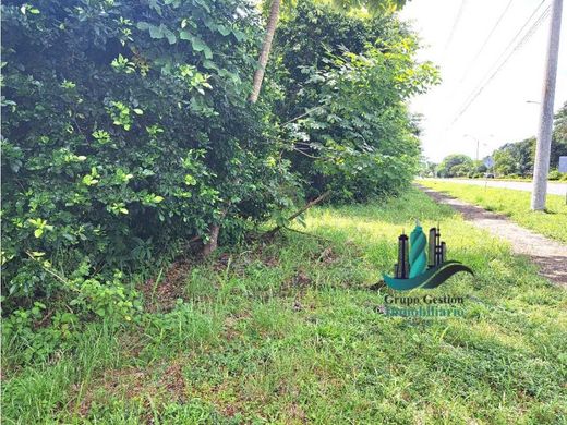 Horconcitos, Distrito de San Lorenzoのカントリー風またはファームハウス