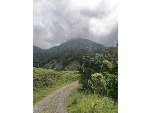 ‏בתים כפריים או חוות ב  Boquete, Distrito de Boquete