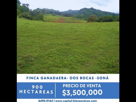 Farmhouse in Soná, Distrito de Soná