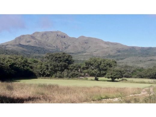 地皮  Cañaveral, Distrito Penonomé