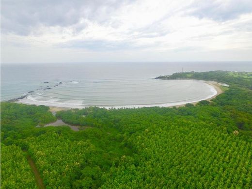 Arsa Pedasí, Distrito de Pedasí