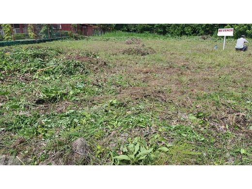 Pedregal, Distrito de Panamáの土地